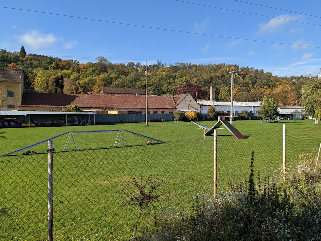 Psí škola na Ostrově Brno - Brno