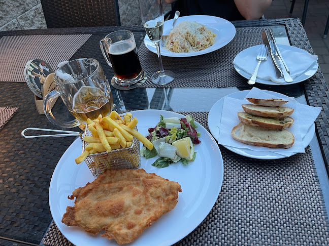 Dvořákova 359, 473 01 Nový Bor