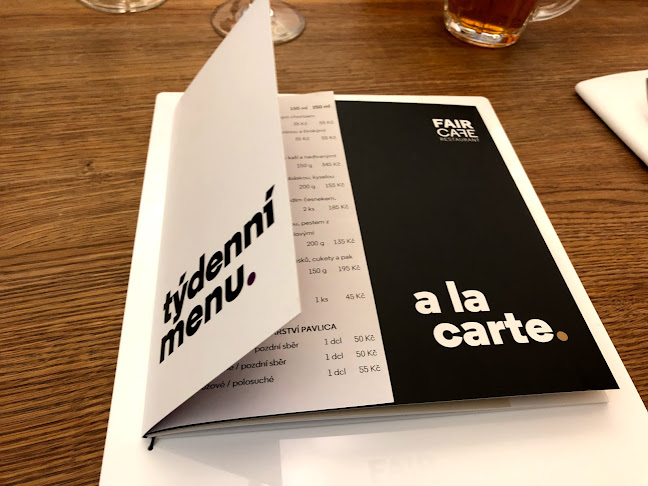 202/19, Rybářská 202/19, Staré Brno, 603 00 Brno