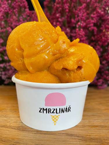 Slezská 15, 120 00 Praha 2-Vinohrady