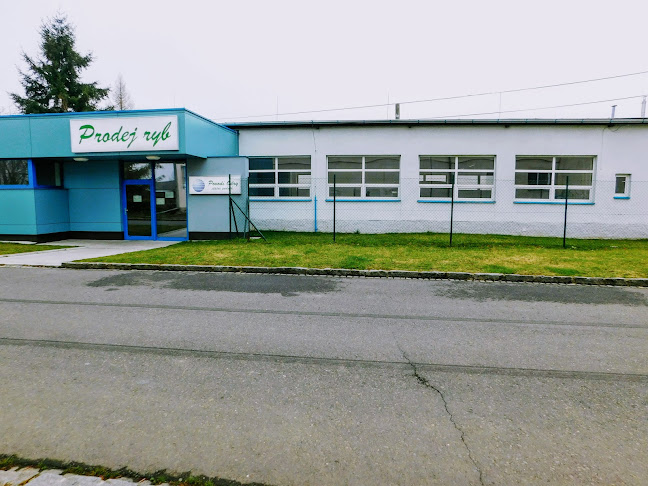 Kolofíkovo nábř. 1064/54, 747 05 Opava 5