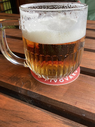 Opinii despre U Kalči în Olomouc - Gastronomie a pohostinství