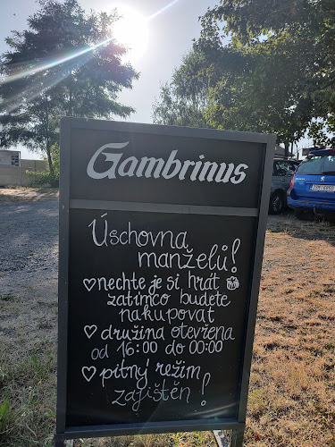 Opinii despre Za větrem în Plzeň - Gastronomie a pohostinství