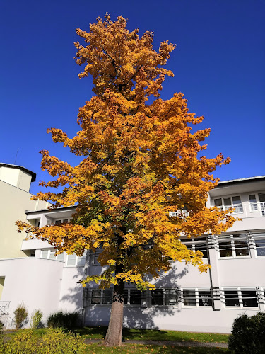 Caffe Bar Siesta - Lázně Darkov