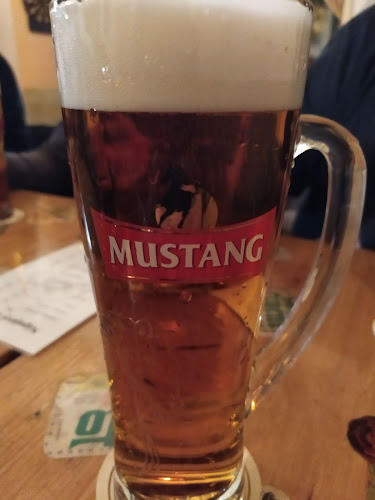 Moskyt - Nové Město