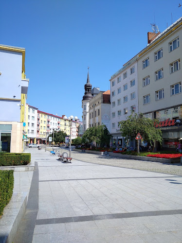 Dragon Restaurant - Gastronomie a pohostinství