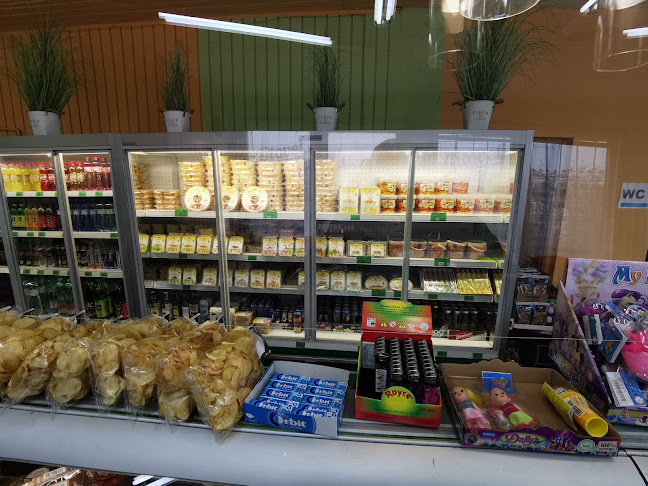 Comentarii opinii despre Motorest Studená Loučka