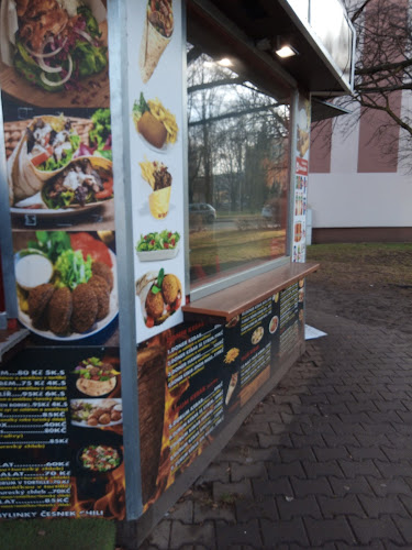 Prodloužená, 530 09 Pardubice II