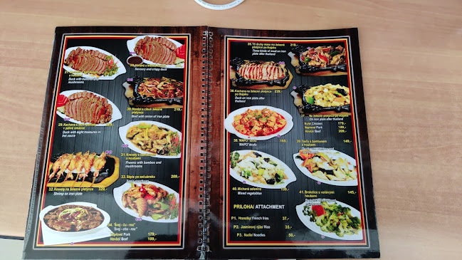 Vlastina 887, 161 00 Praha 6