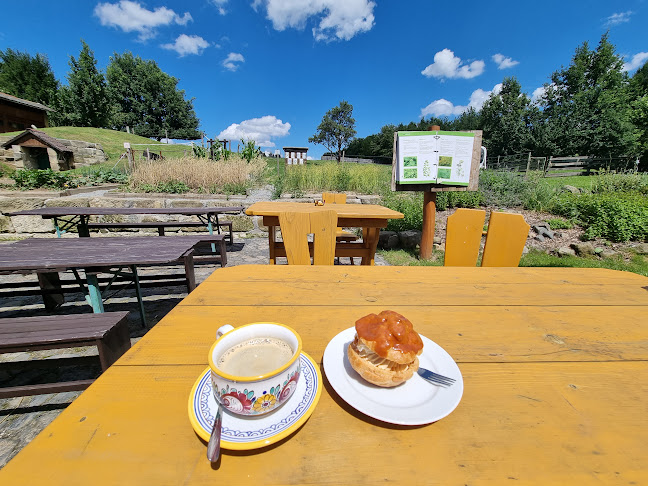 Comentarii opinii despre Kavárna Jako Doma Brniště