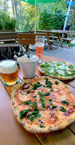 Comentarii opinii despre Tartaruga