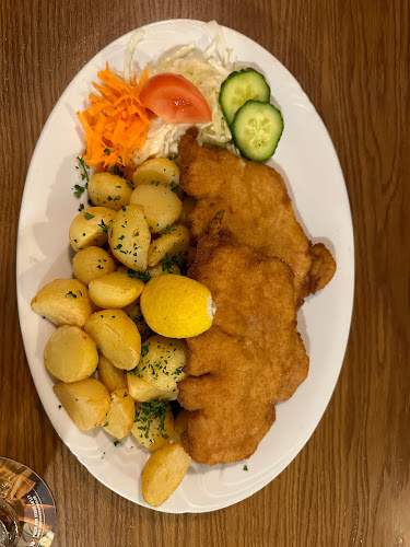 Restaurace U draka - Karlovy Vary