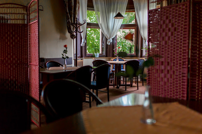 Opinii despre Pension 65 s Restaurací în Police nad Metují - Gastronomie a pohostinství