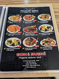 Restaurace Wok & Sushi - Gastronomie a pohostinství