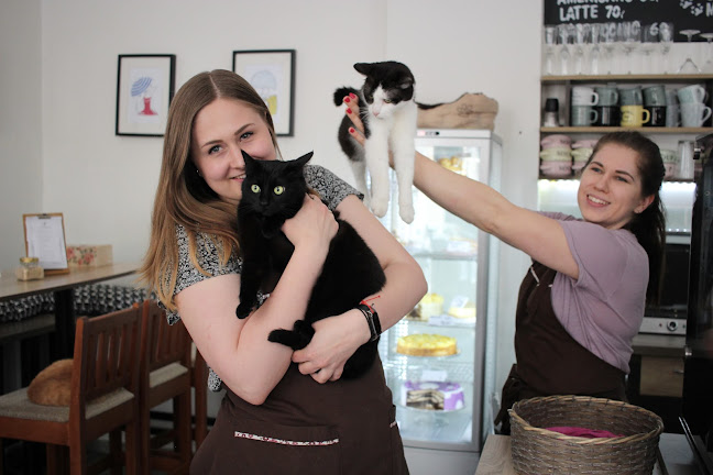 Comentarii opinii despre Kavárna Kočičí Praha