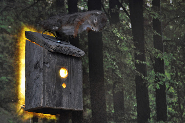 Comentarii opinii despre Café V lese