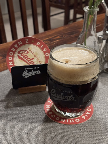 Opinii despre Pod Vyšehradem în Praha - Gastronomie a pohostinství