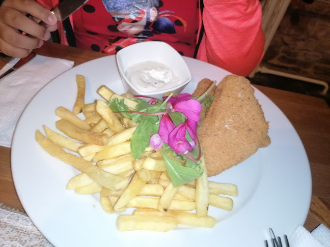 Restaurace a Vinárna Na Zámečku - Gastronomie a pohostinství