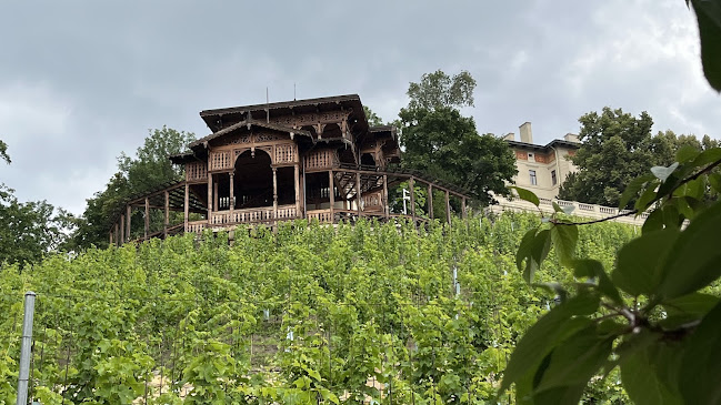 Comentarii opinii despre Viniční altán