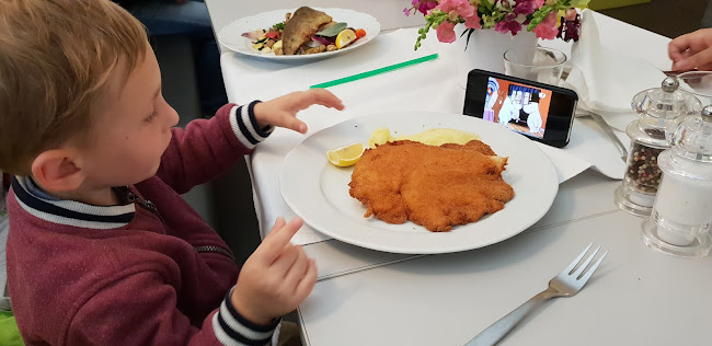 Opinii despre Restaurant Filip în Mariánské Lázně - Gastronomie a pohostinství