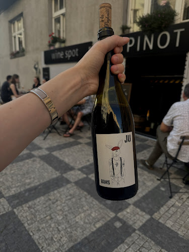 PINOT wine spot - Gastronomie a pohostinství