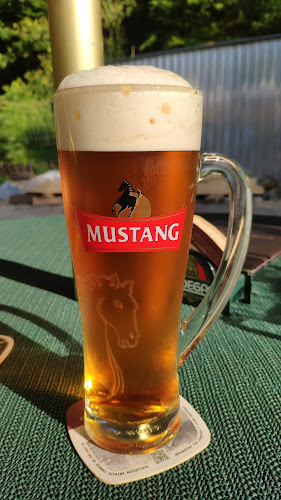 Opinii despre U Brbloně în Horní Datyně - Gastronomie a pohostinství