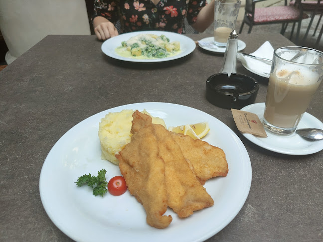 Opinii despre Restaurace U Labutí în Praha - Gastronomie a pohostinství