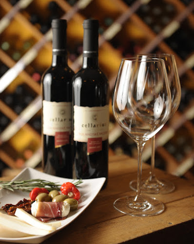 Cellarius - Lucerna - Nové Město