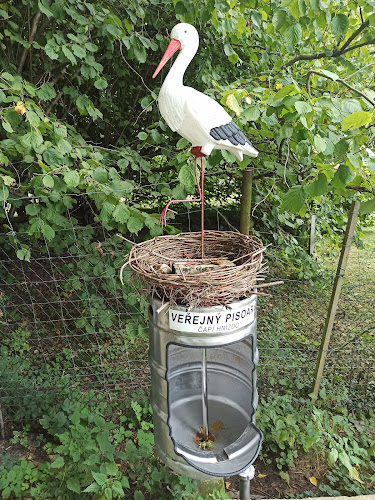 Comentarii opinii despre Pivovar U Hušků