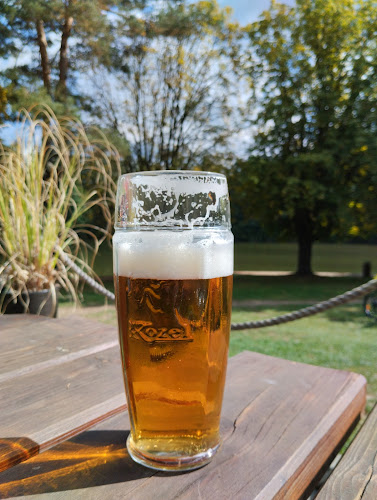 Opinii despre Hospůdka Na Marvánku în Říčany - Gastronomie a pohostinství