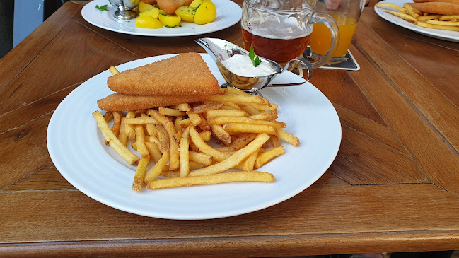 Comentarii opinii despre Radniční sklípek