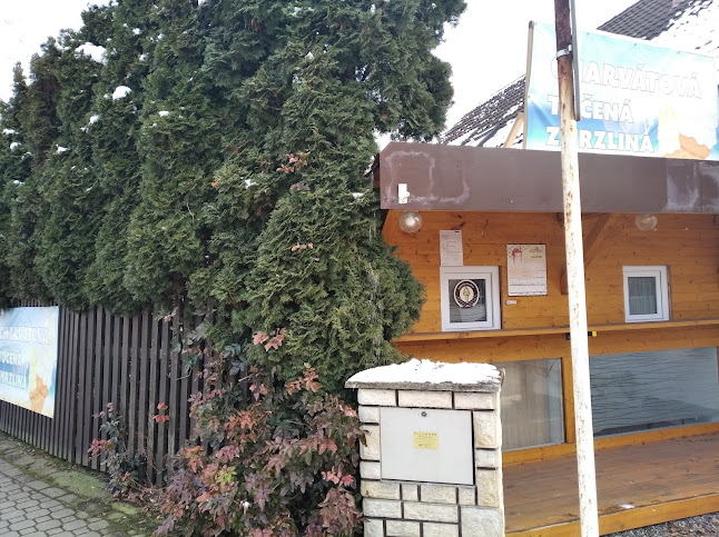 Opinii despre Zmrzlina Pojízdný zmrzlinář în Choceňské Předměstí - Gastronomie a pohostinství