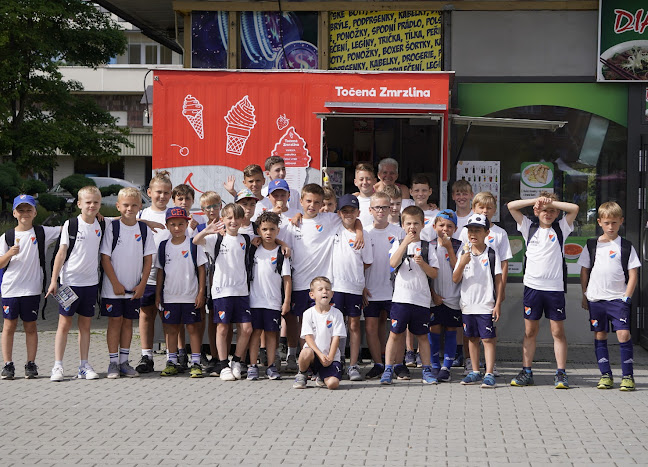 Zmrzlinový stánek ICY - Gastronomie a pohostinství