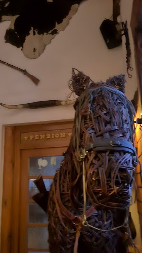 Comentarii opinii despre Country Saloon