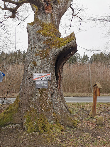 Rechtorka 760, 687 08 Buchlovice