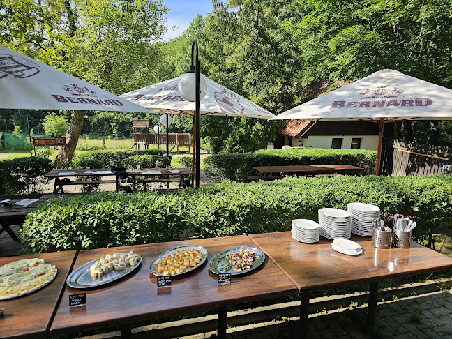 Opinii despre Restaurace U krále Václava IV. în Praha - Gastronomie a pohostinství