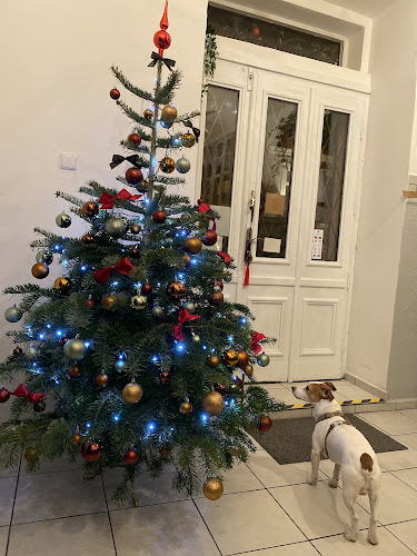 4, Mečislavova 208, Nusle, 140 00 Praha 4