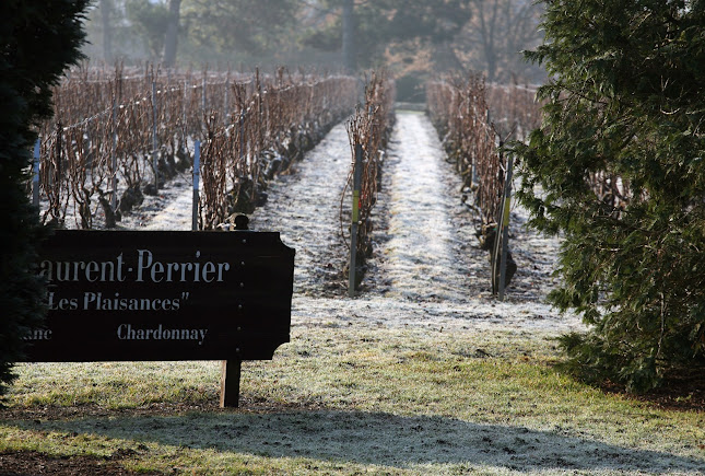 Comentarii opinii despre Le Bourgin s.r.o.