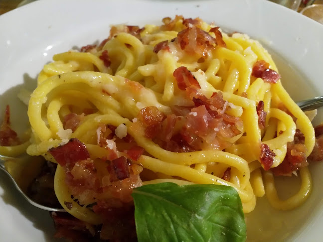 Běhounská 4, 602 00 Brno-střed