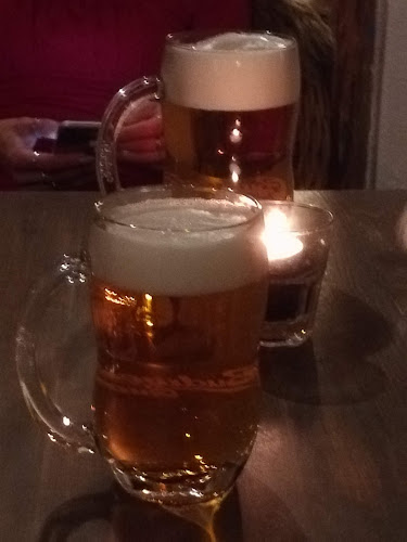 Comentarii opinii despre Hacienda Ranchero - restaurace a penzion