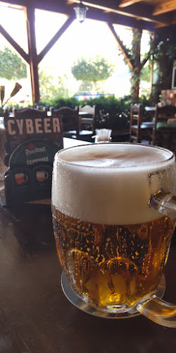 Comentarii opinii despre Hostinec Za Vodou