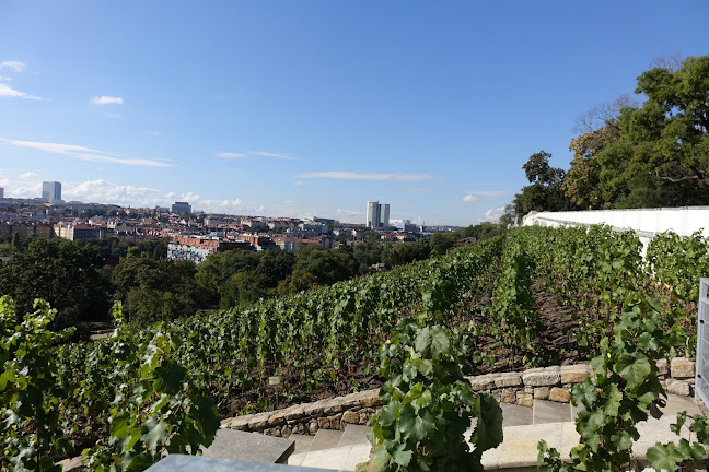 Opinii despre Viniční altán în Praha - Gastronomie a pohostinství
