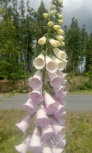 Opinii despre Chata Hubert în Olomouc - Gastronomie a pohostinství