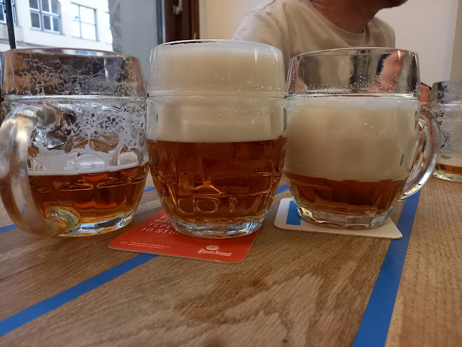 Opinii despre Vinohradský Parlament în Vinohrady - Gastronomie a pohostinství