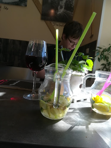 Kočičí kavárna - Plzeň