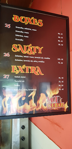 Comentarii opinii despre Můj kebab