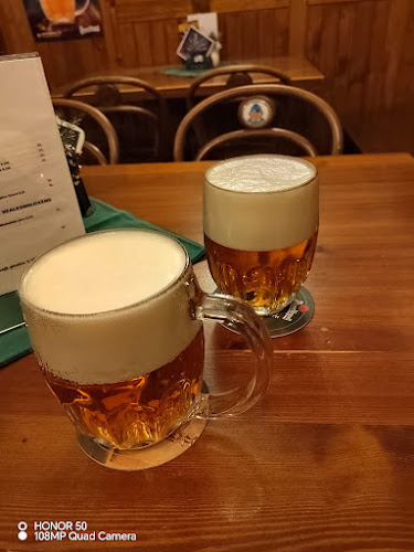 Švejk Pivnice U Věžičky