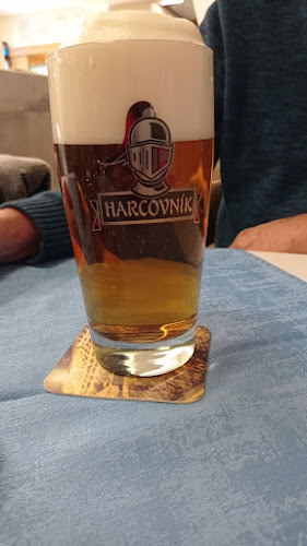 Comentarii opinii despre Restaurace Silesie