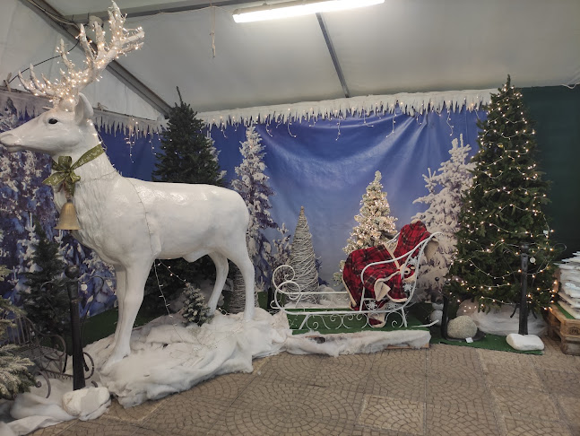 Stanová 1998, 415 01 Teplice 1-Trnovany