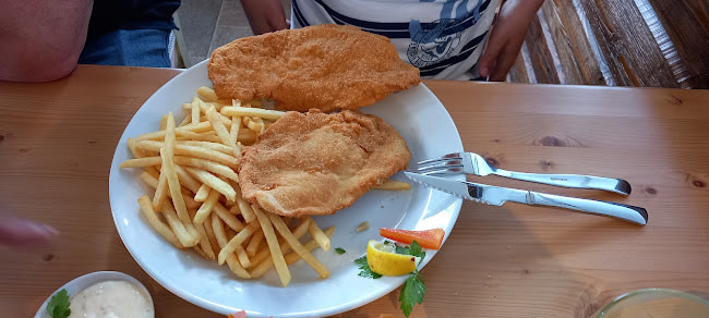 Opinii despre Baileys Folmava în Horní Folmava - Gastronomie a pohostinství